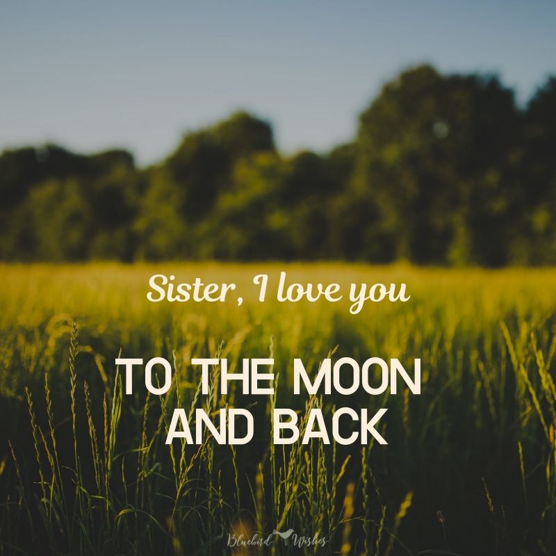 Sweet sayings about sisters i love you sister quotes I love you sister quotes sweet sayings about sisters