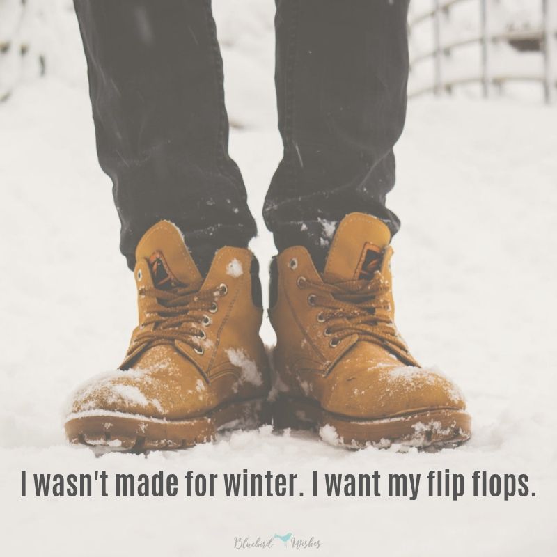 Funny quotes about cold weather  funny quotes about cold weather Funny quotes about cold weather funny quotes about cold weather