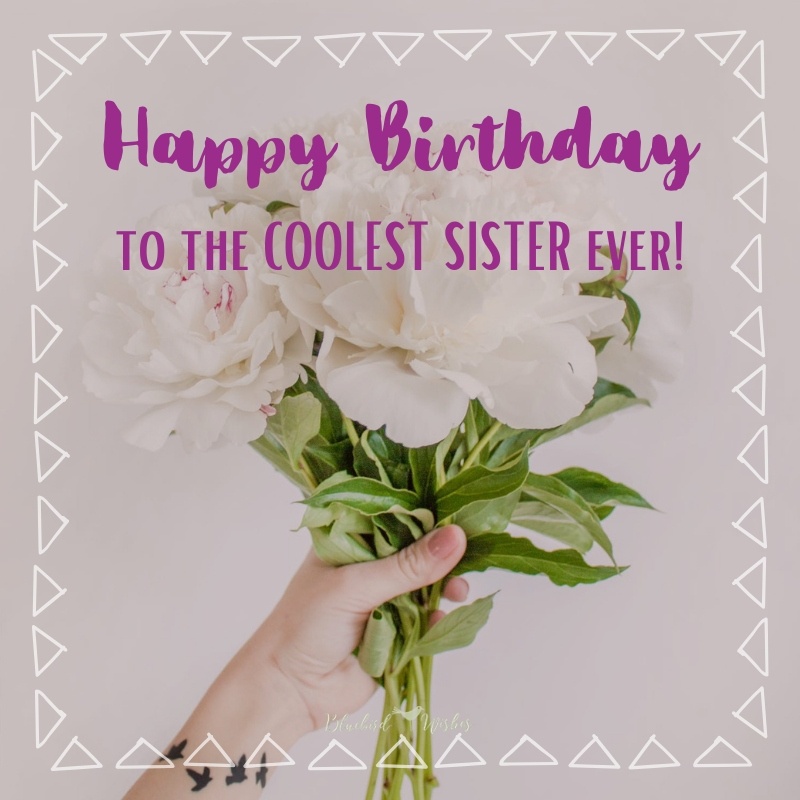 birthday ecard for sister funny birthday wishes for sister Funny birthday wishes for sister birthday ecard for sister