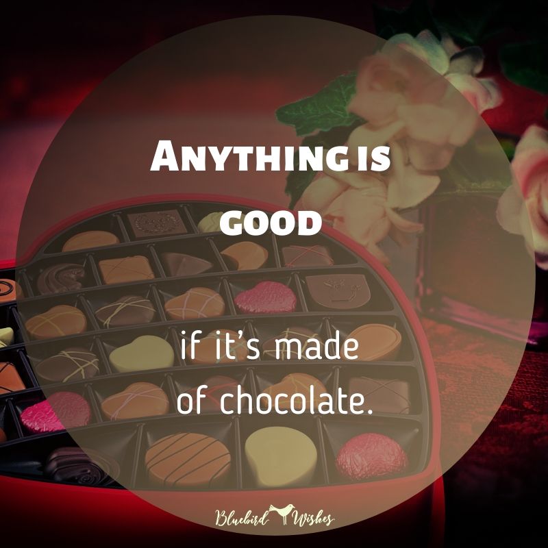 funny image about chocolate funny quotes about chocolate Funny quotes about chocolate funny image about chocolate