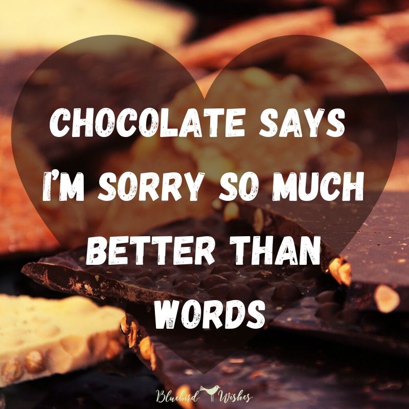 funny saying about chocolate funny quotes about chocolate Funny quotes about chocolate funny saying about chocolate