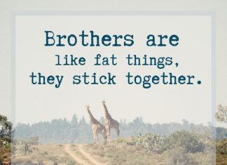 Funny sayings about brothers