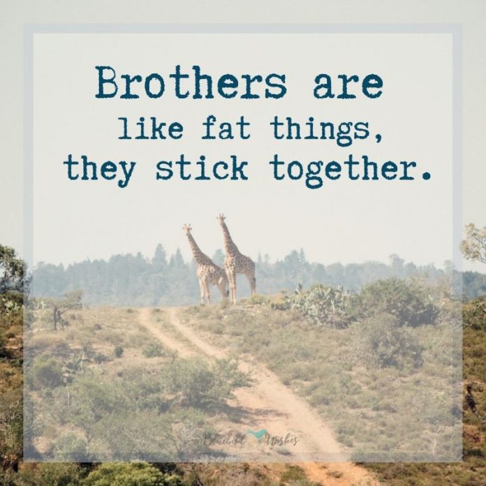 Funny sayings about brothers
