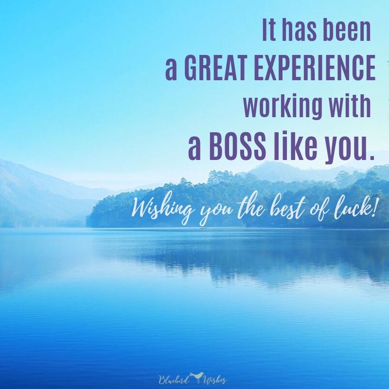 Farewell wishes for boss | Bluebird Wishes