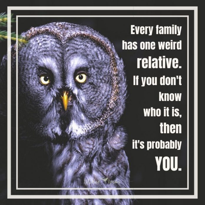 funny sayings about family