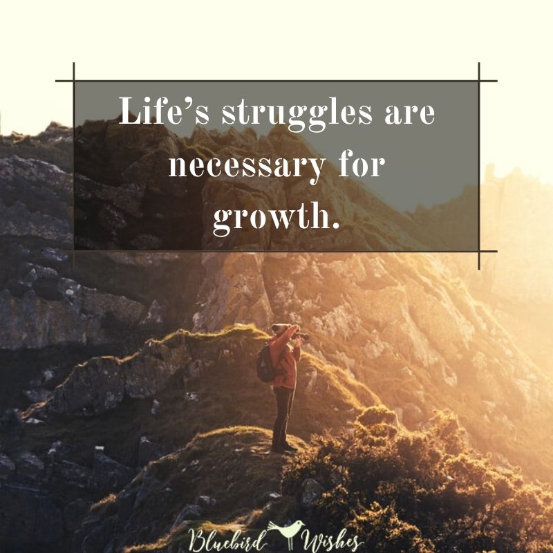 inspirational image about life and struggles inspirational quotes about life and struggles Inspirational quotes about life and struggles inspirational image about life and struggles