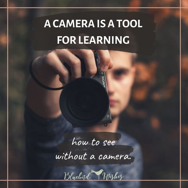 quote about photography funny quotes about photography Funny quotes about photography quote about photography