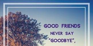 Nice goodbye wishes to friends