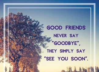 Nice goodbye wishes to friends